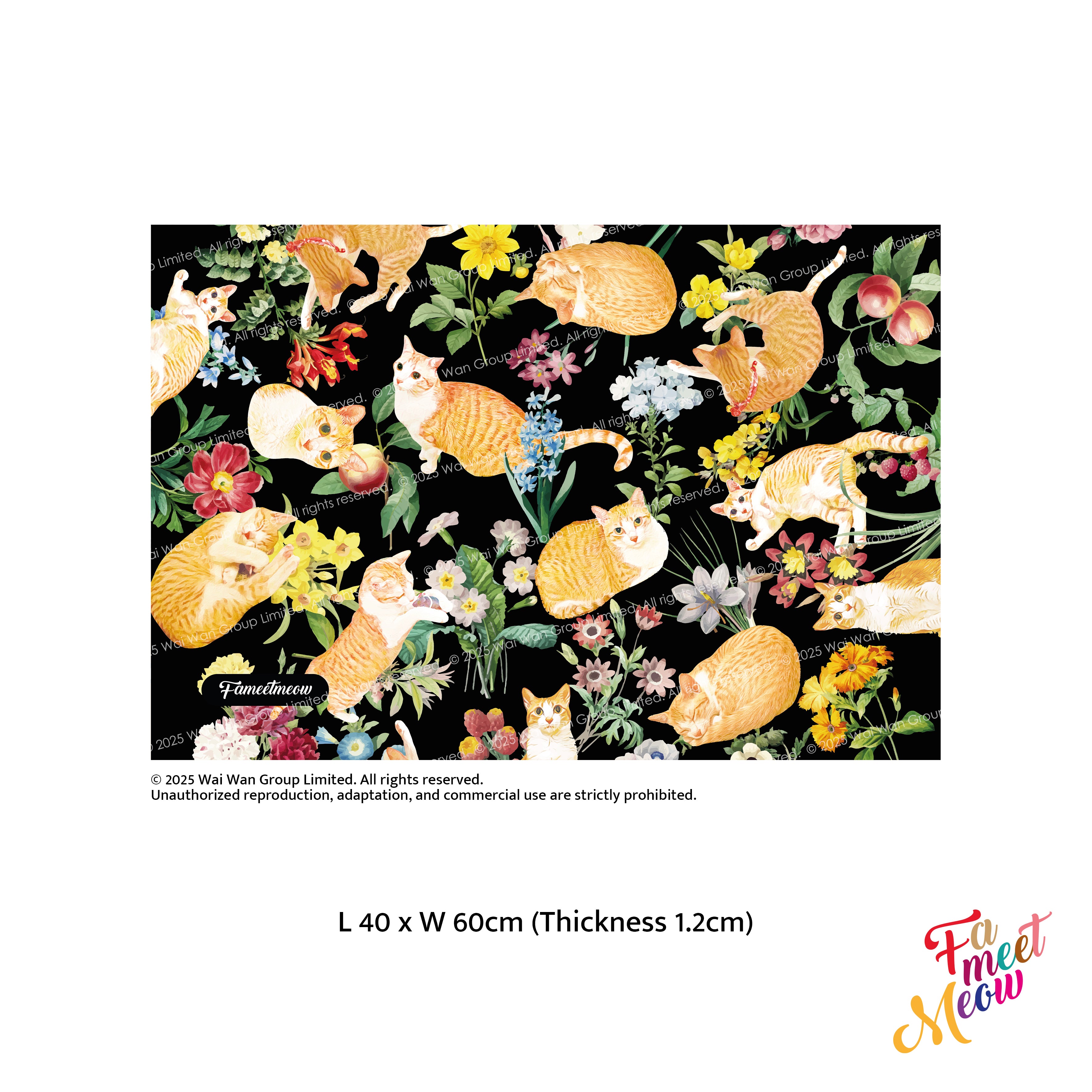 室內門墊 - Floral (黑色)