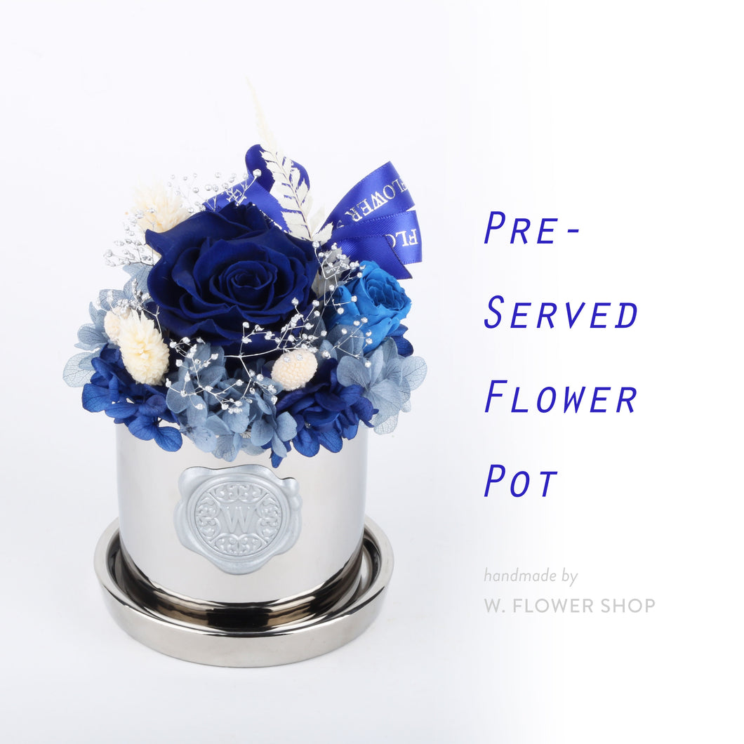 Preserved Flower Pot - Royal Blue