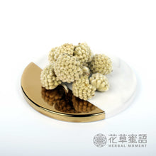 將圖片載入圖庫檢視器 三高茶套裝 (限定免費贈送雙層玻璃瓶)
